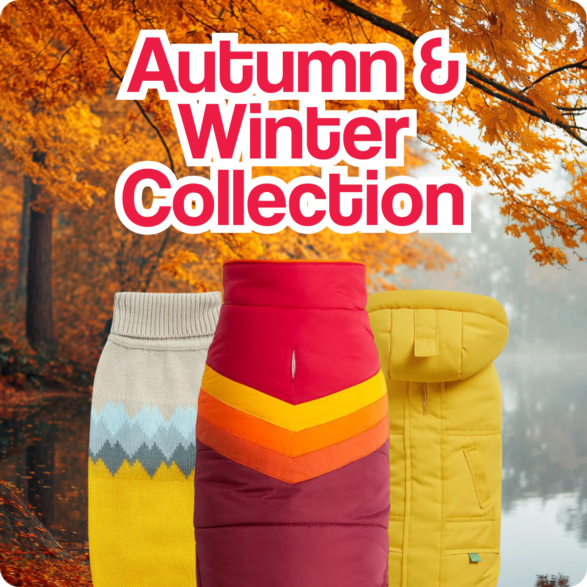 Winter Sale