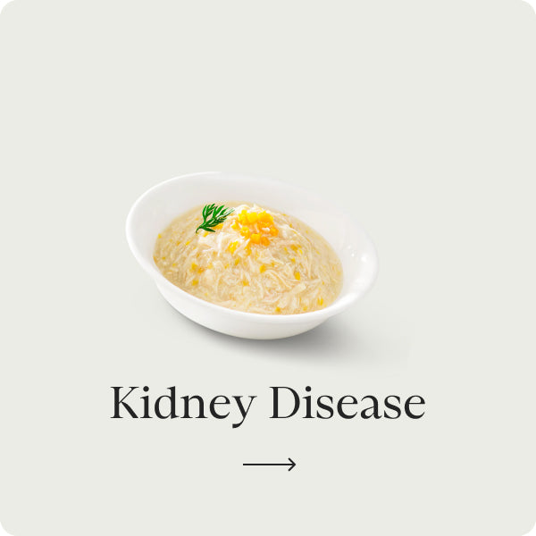 Kidney Disease