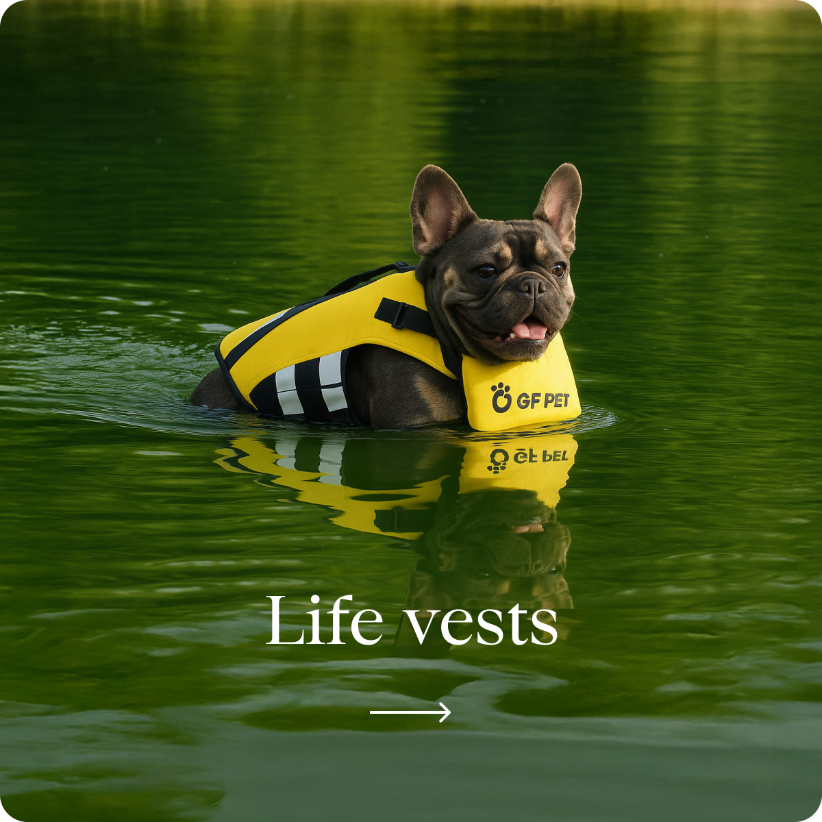 Life vests