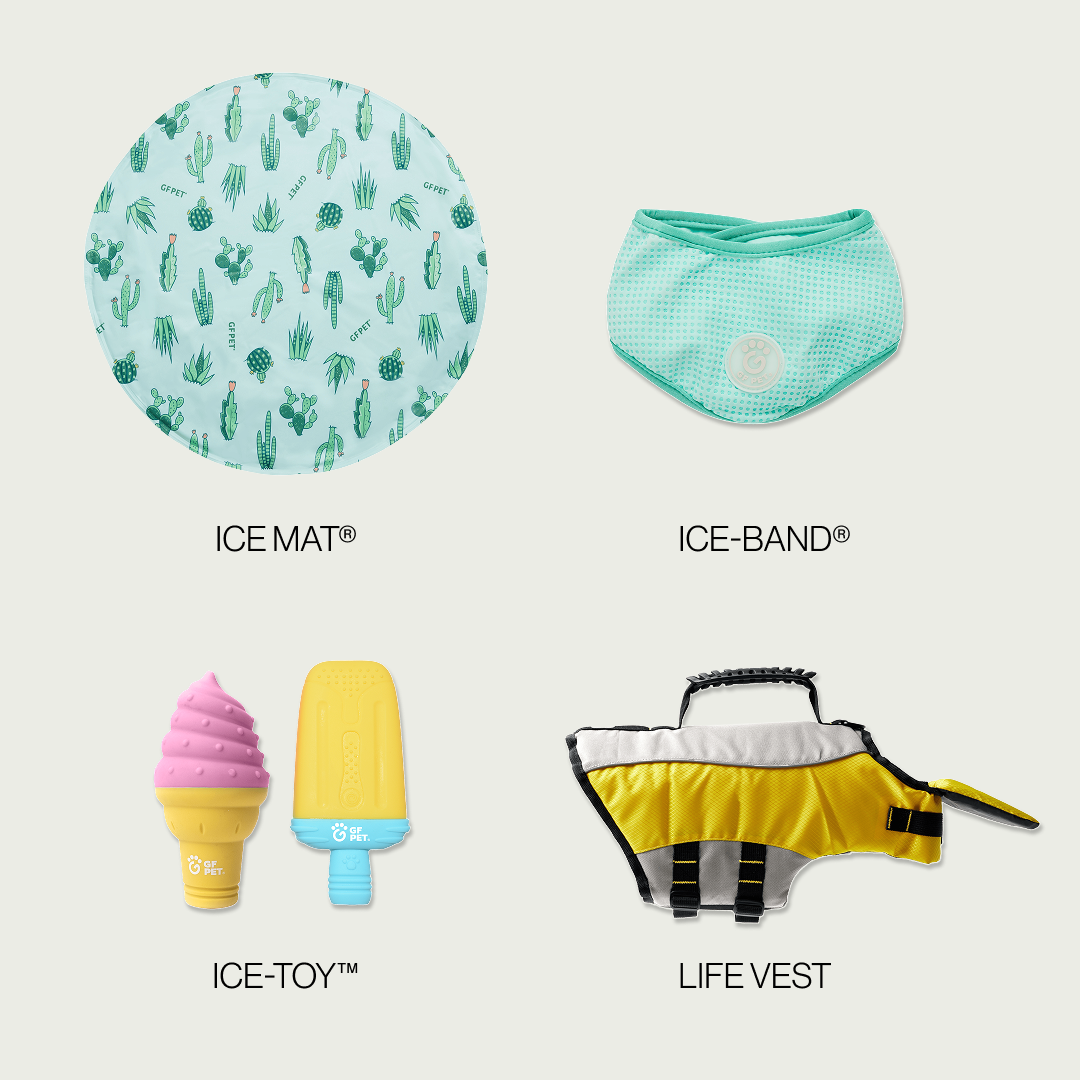 Quality Beach Cooling Set| by GF Pet of Canada | Big Dog