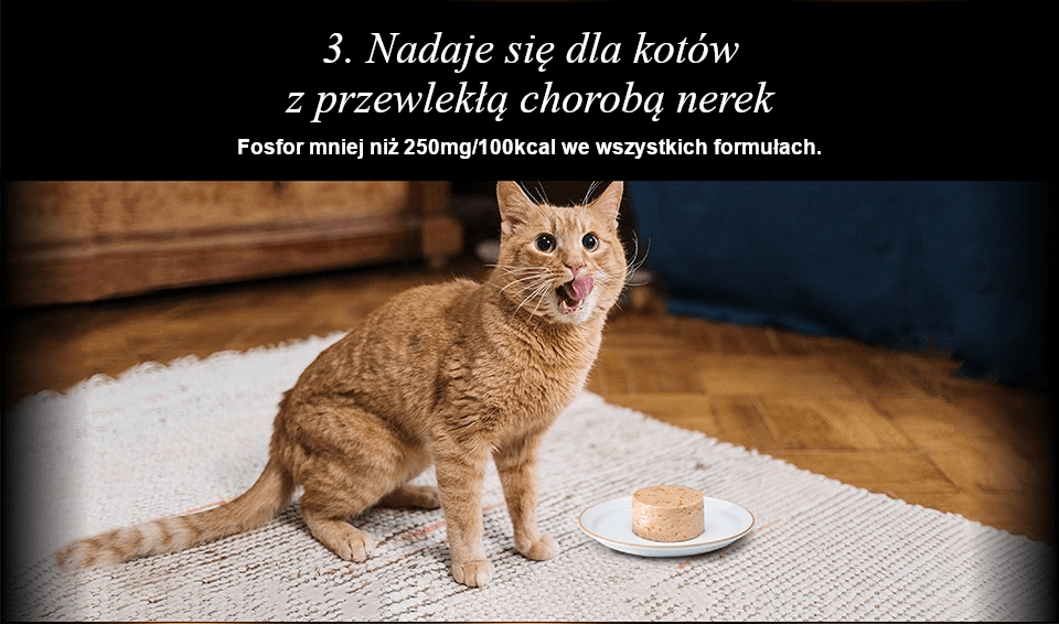 Chérie Healthy Living Diet Tuna mousse 80 g.