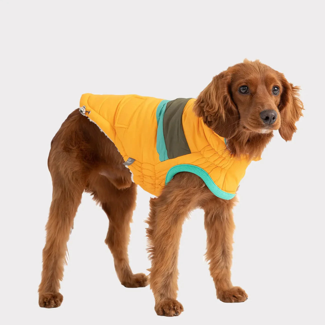 GF Pet Alpine Dog Jacket | Elasto-Fit® Water-Resistant Winter Coat