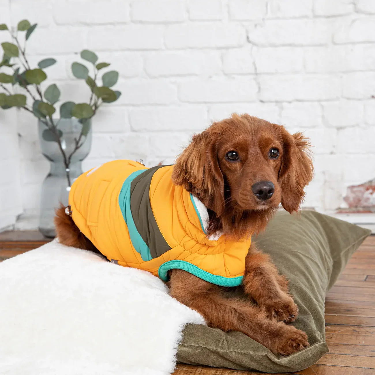 GF Pet Alpine Dog Jacket | Elasto-Fit® Water-Resistant Winter Coat