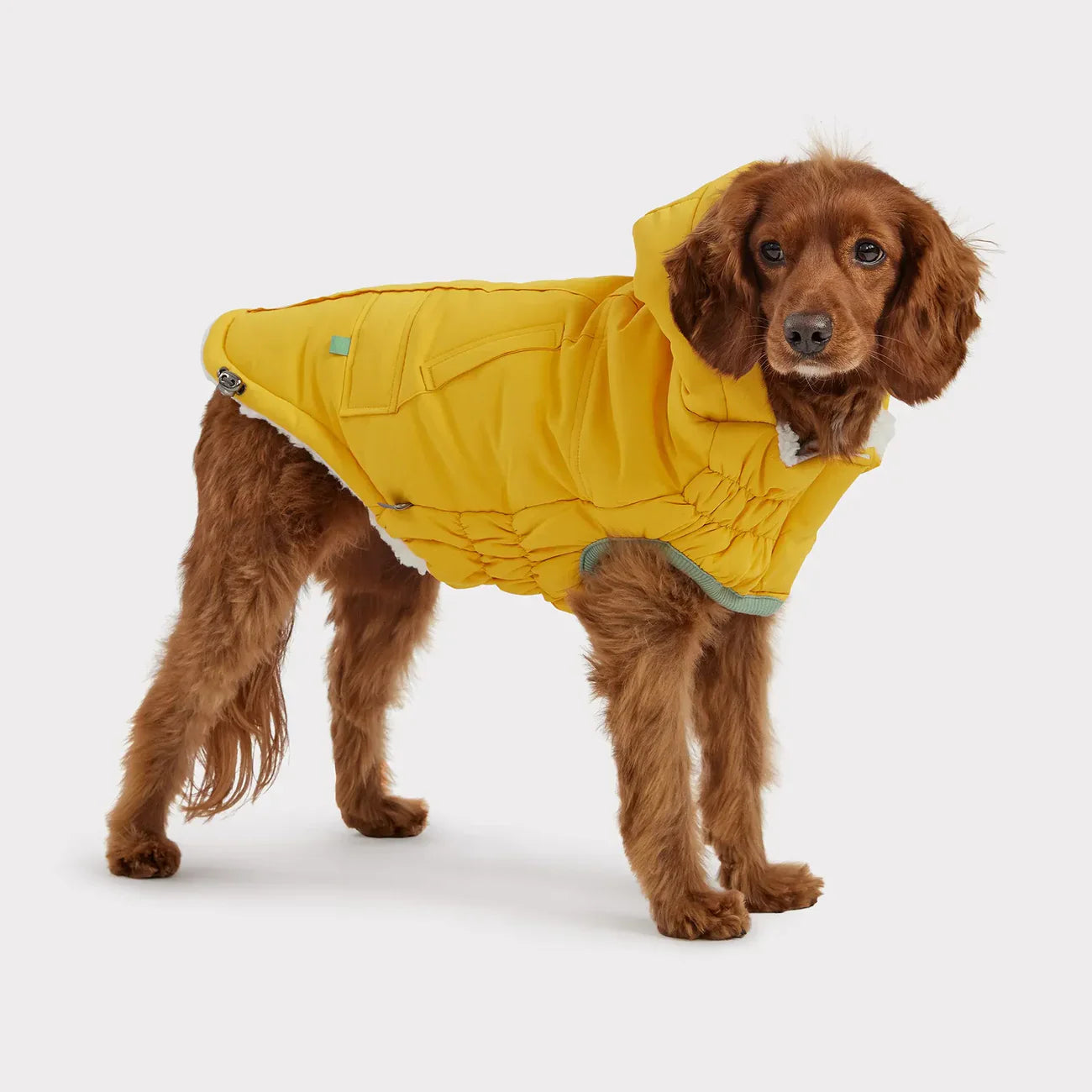 GF Pet Arctic Dog Parka | Elasto-Fit® Insulated Winter Coat