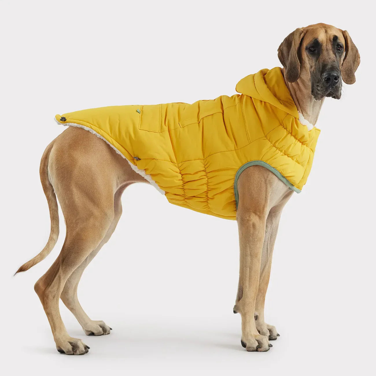 GF Pet Arctic Dog Parka | Elasto-Fit® Insulated Winter Coat