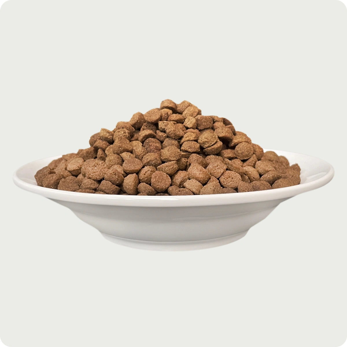 Chérie Dry Food Formula Grain-Free Salmon Entrées 2kg. + Free 2 Cans of Wet Food
