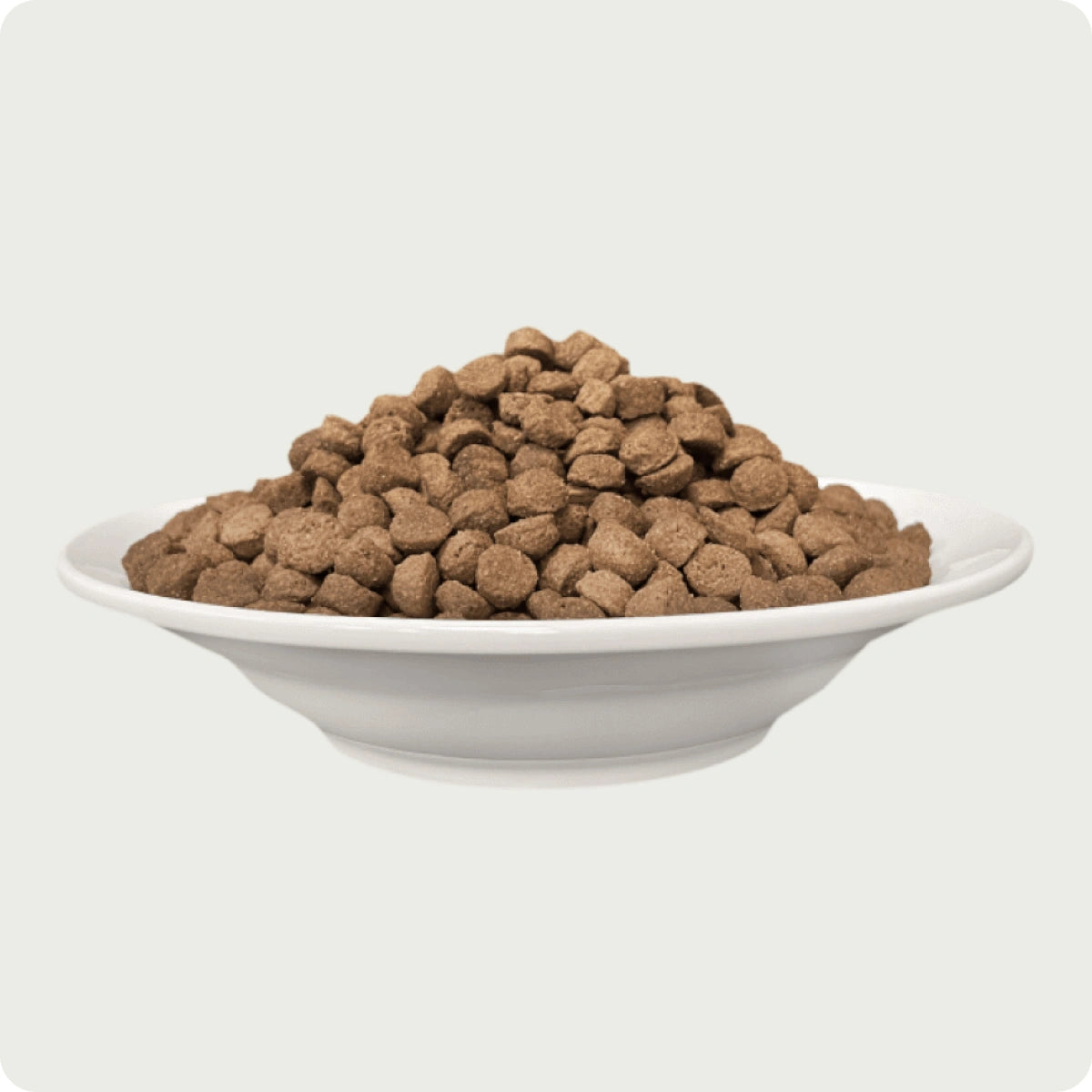 Chérie Dry food Turkey Entrées 2kg. + Free 2 Cans of Wet Food