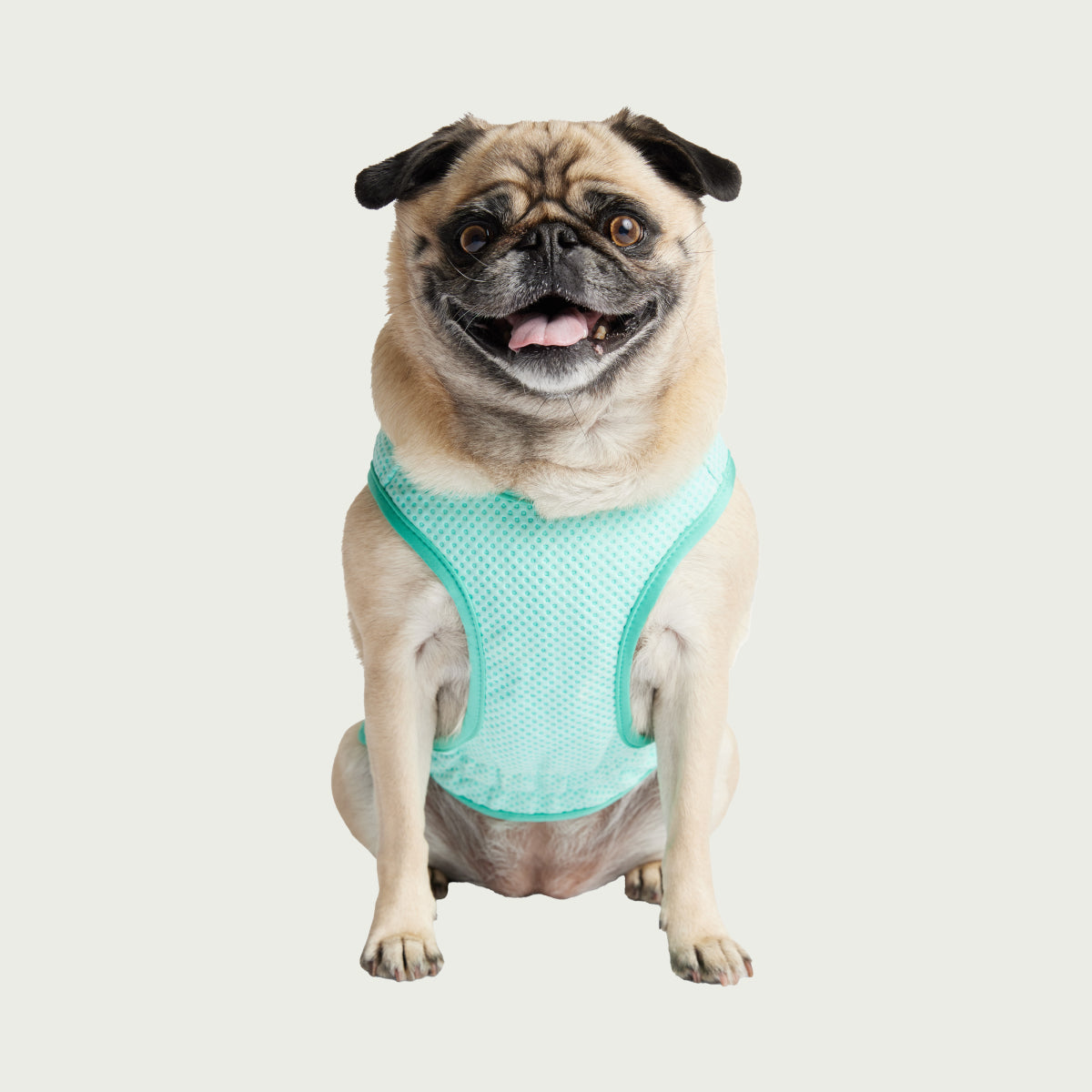 Dog Cooling Ice Vest® | GF Pet of Canada | Light Aqua