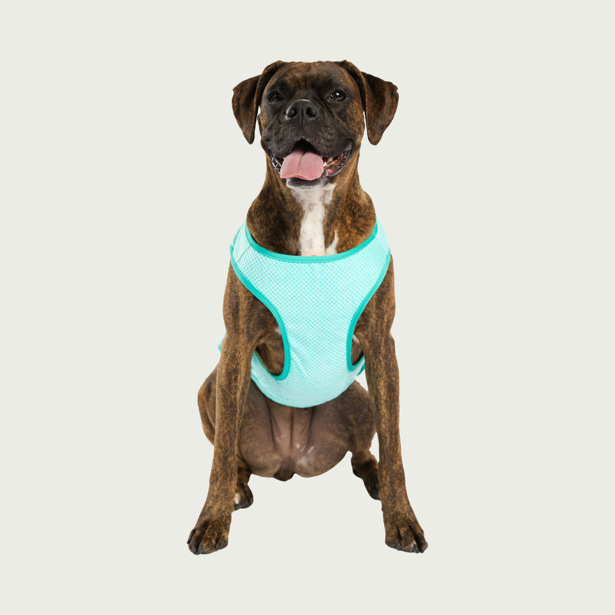 Dog Cooling Ice Vest® | GF Pet of Canada | Light Aqua