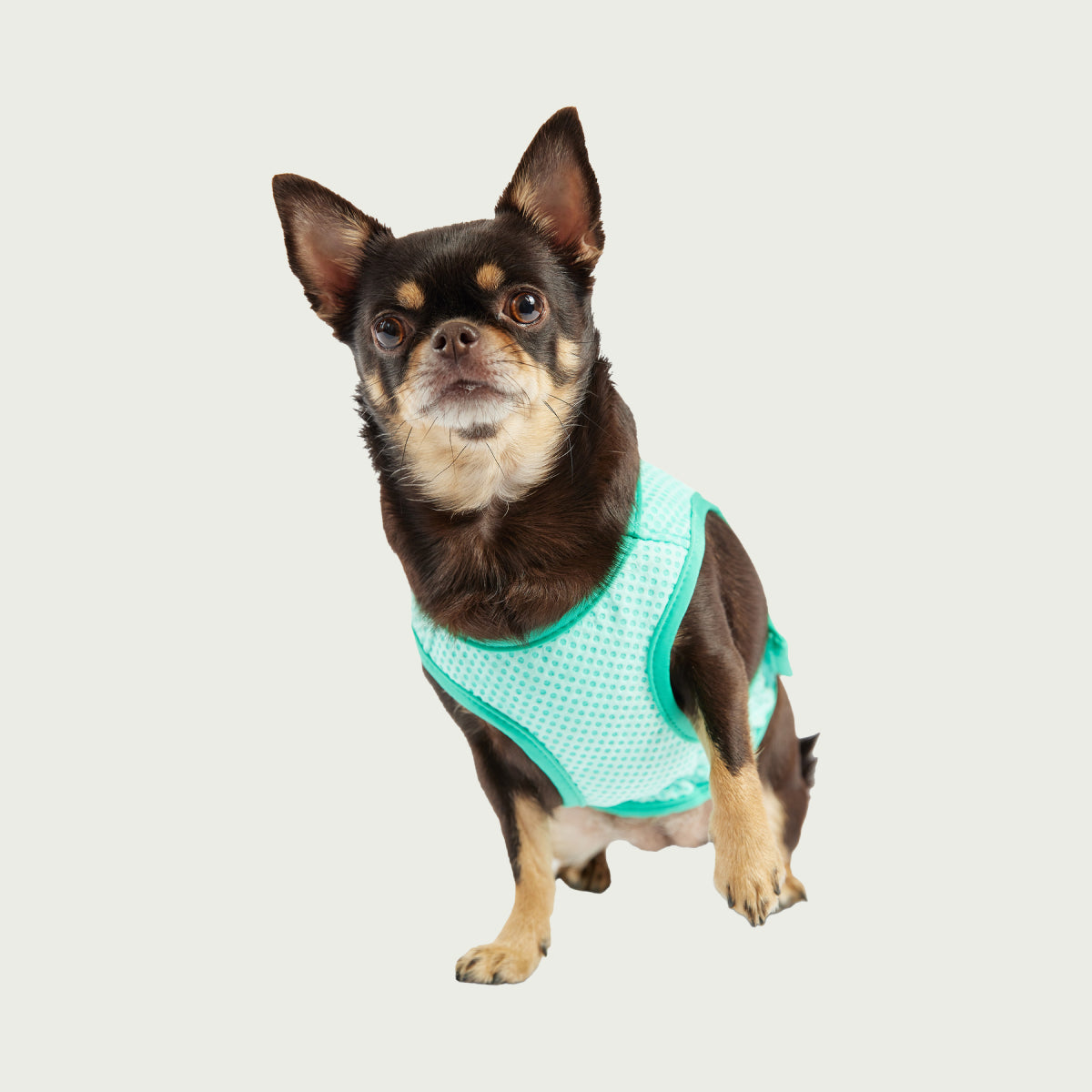 Dog Cooling Ice Vest® | GF Pet of Canada | Light Aqua