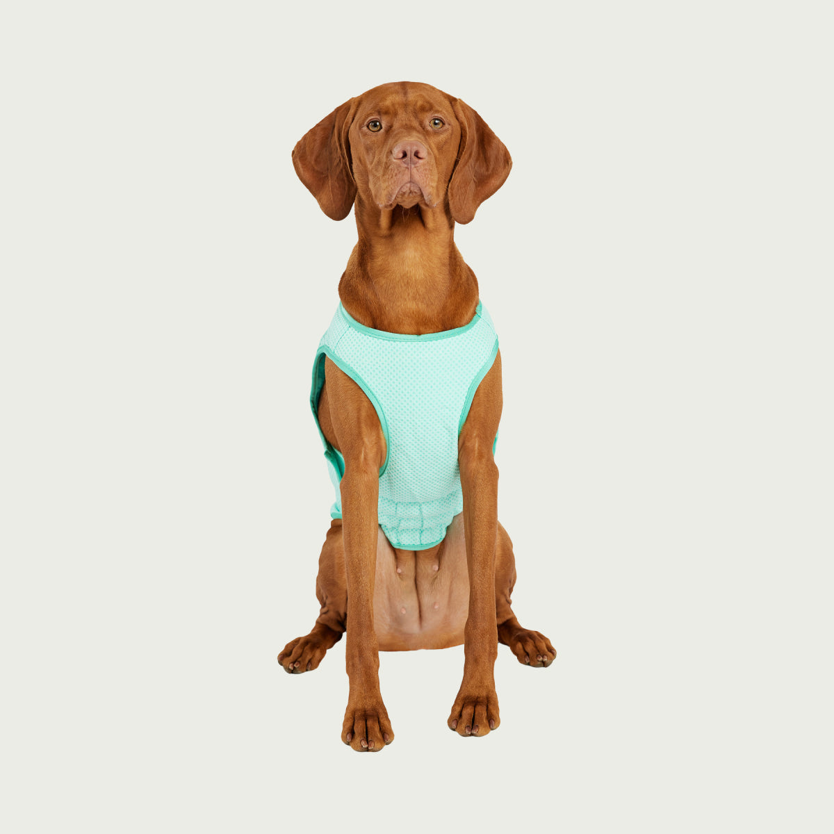 Dog Cooling Ice Vest® | GF Pet of Canada | Light Aqua
