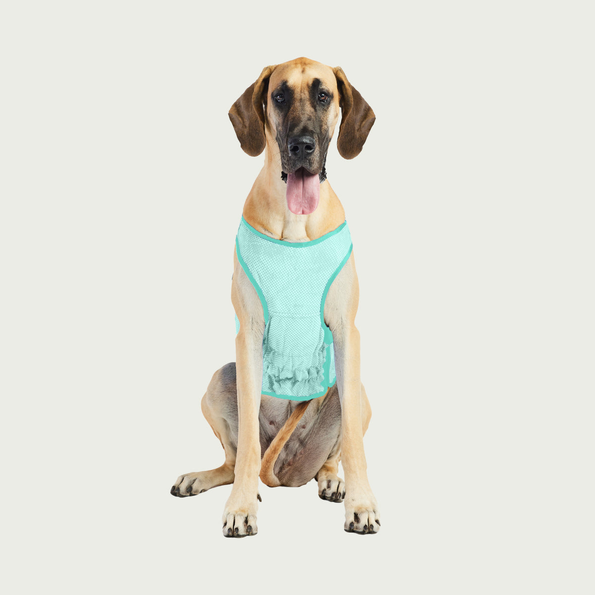 Dog Cooling Ice Vest® | GF Pet of Canada | Light Aqua