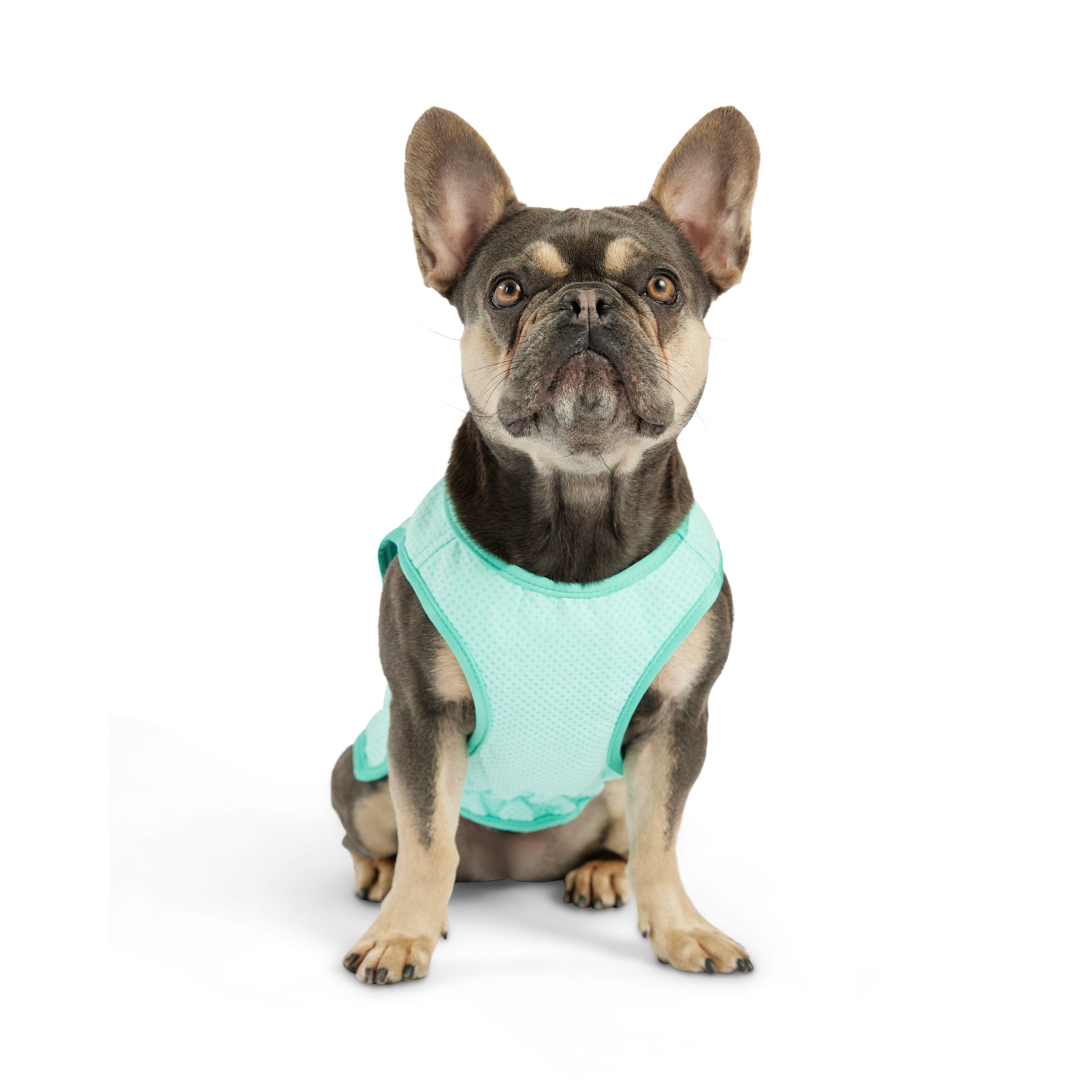 Dog Cooling Ice Vest® | GF Pet of Canada | Light Aqua