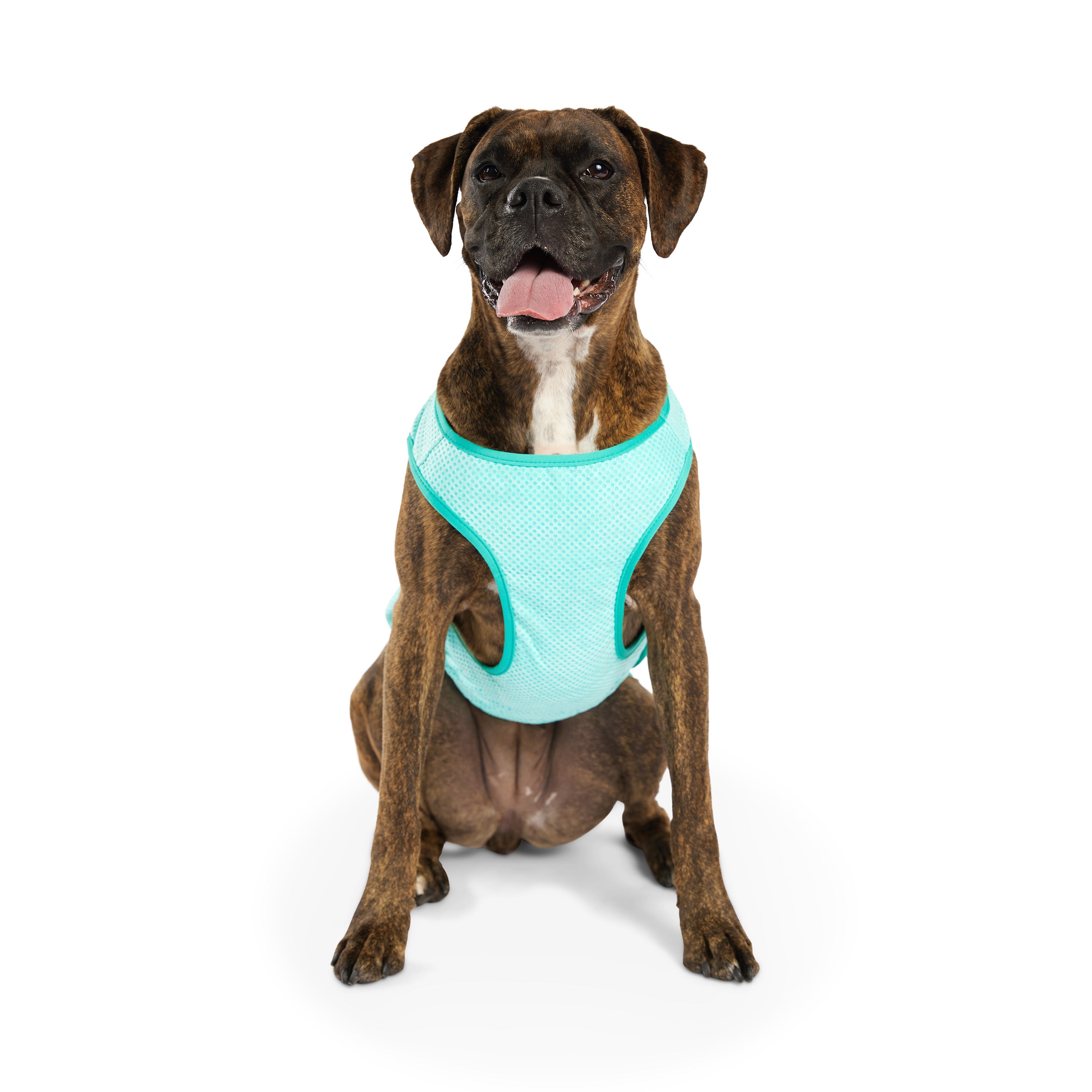 Dog Cooling Ice Vest® | GF Pet of Canada | Light Aqua