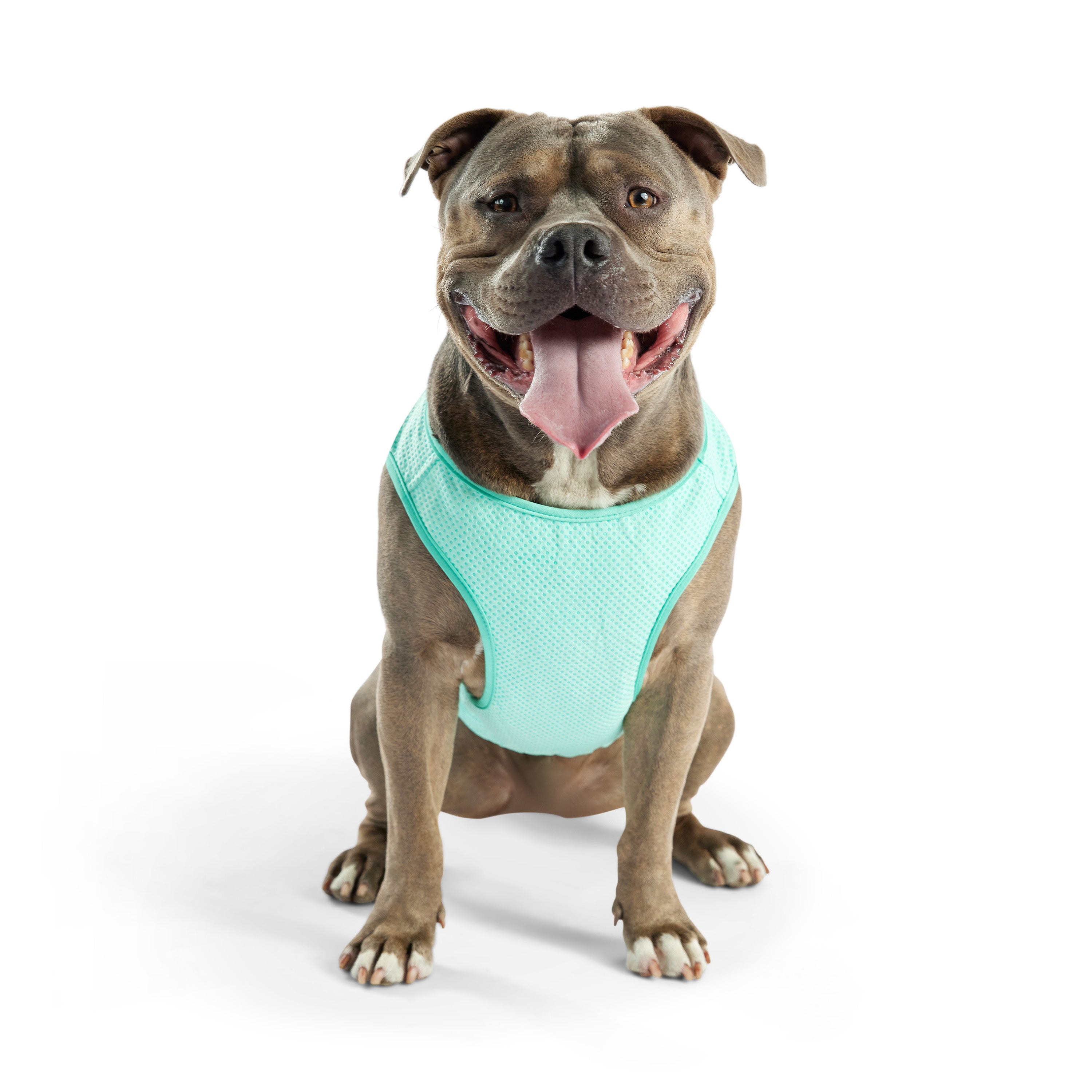 Dog Cooling Ice Vest® | GF Pet of Canada | Light Aqua