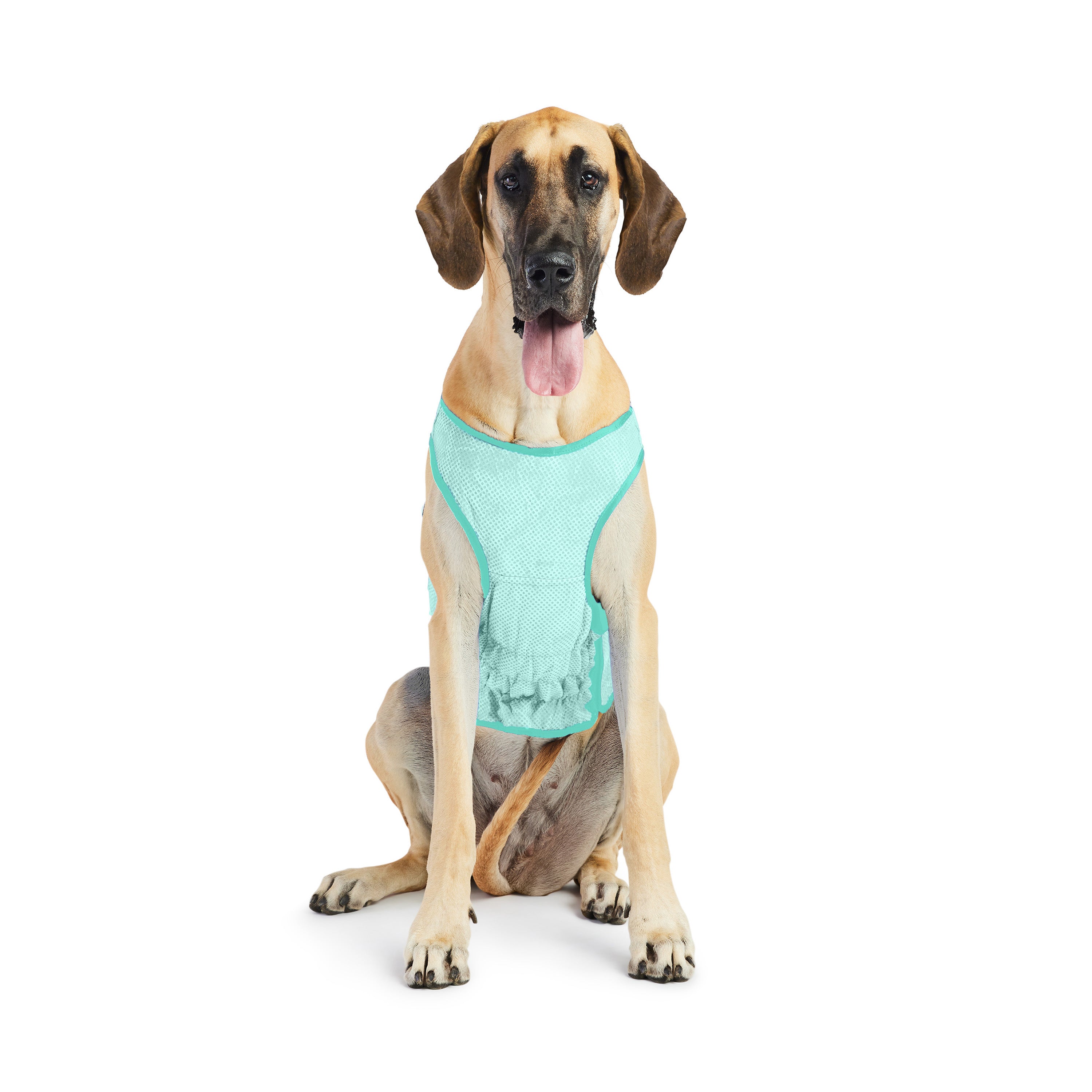 Dog Cooling Ice Vest® | GF Pet of Canada | Light Aqua