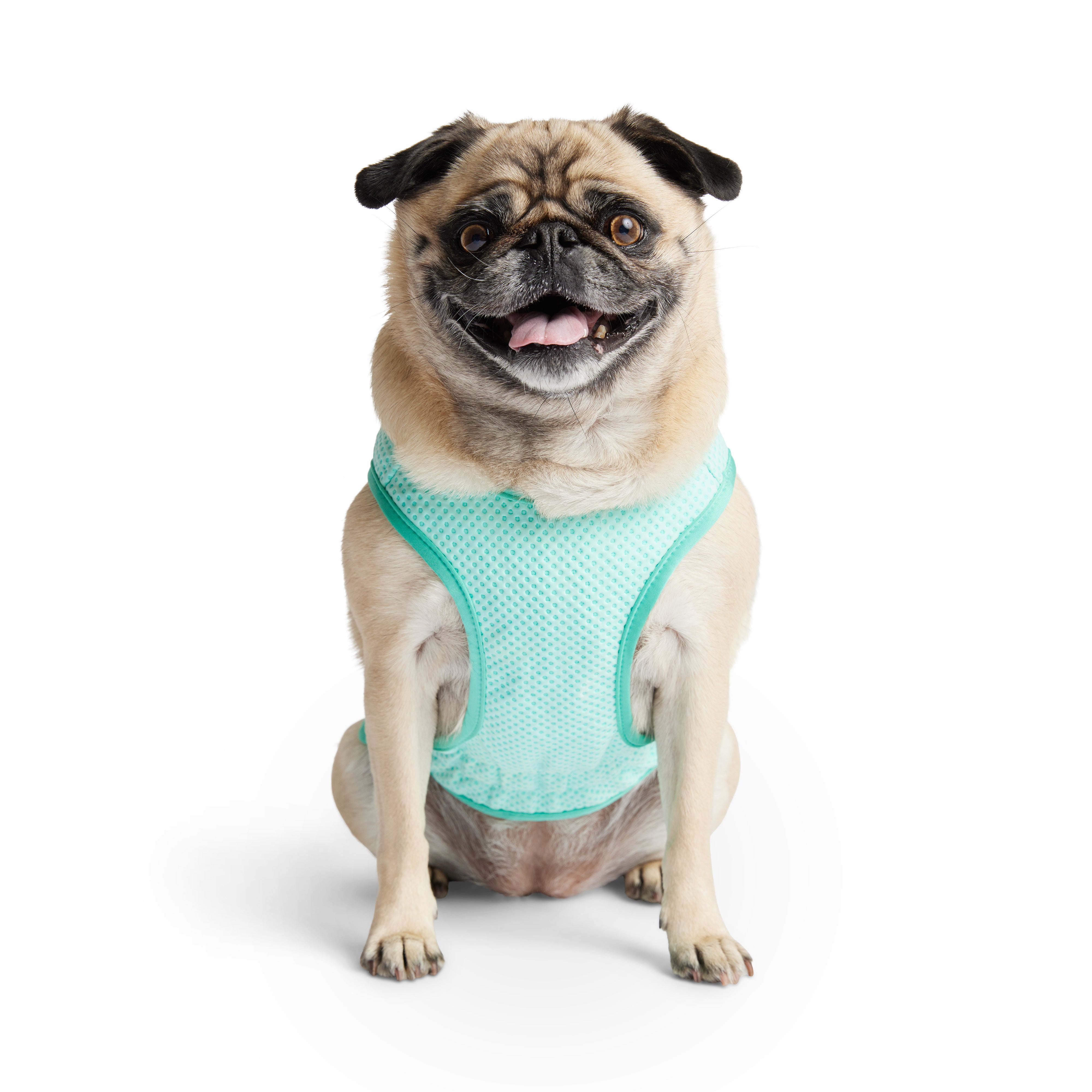 Dog Cooling Ice Vest® | GF Pet of Canada | Light Aqua
