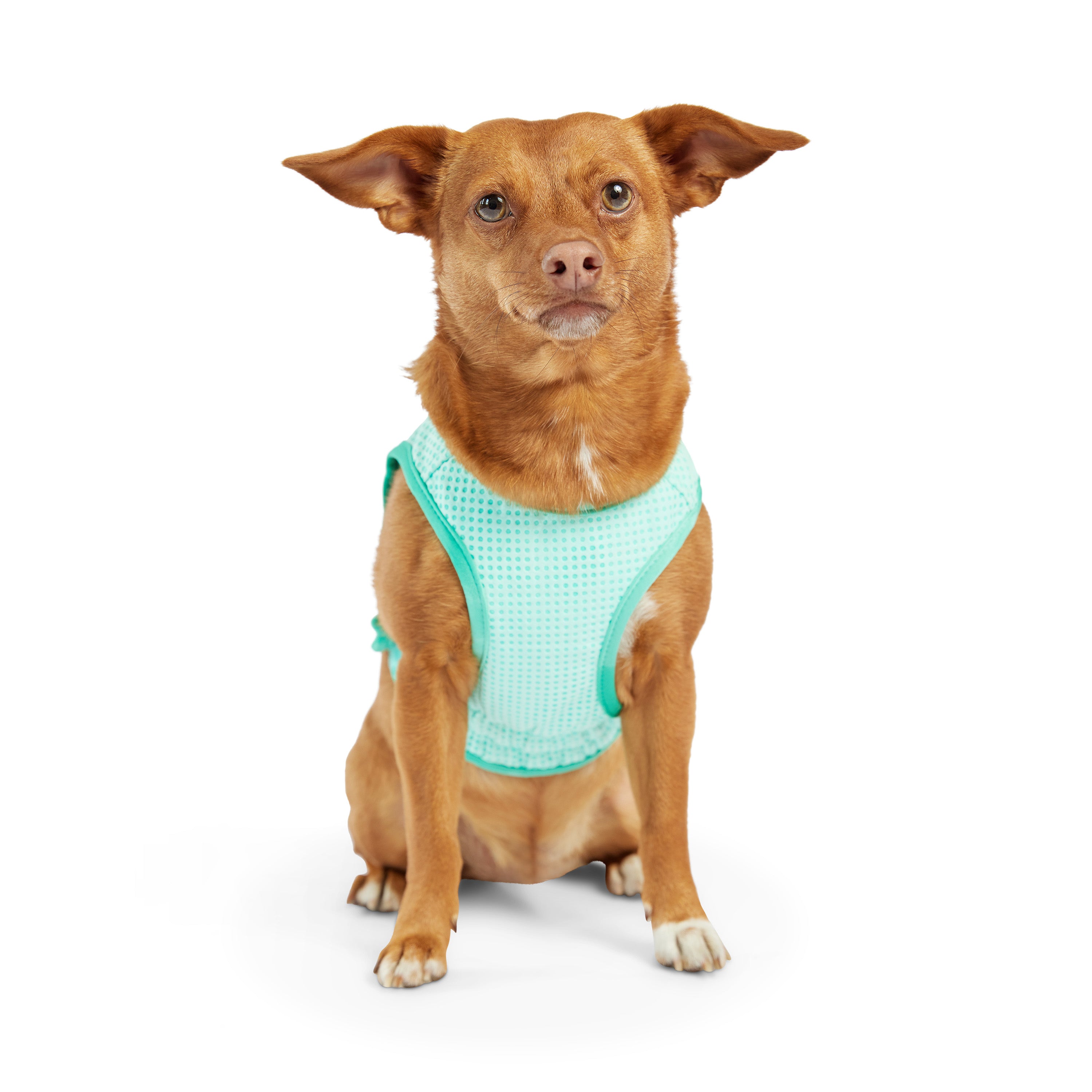 Dog Cooling Ice Vest® | GF Pet of Canada | Light Aqua
