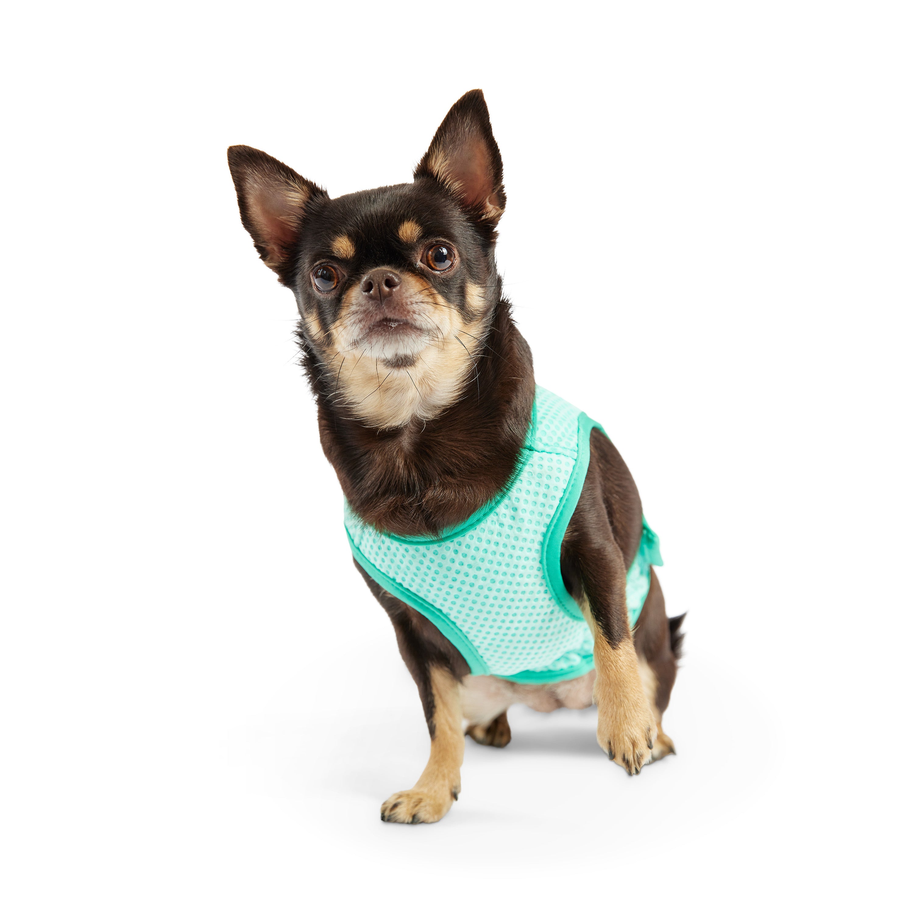 Dog Cooling Ice Vest® | GF Pet of Canada | Light Aqua