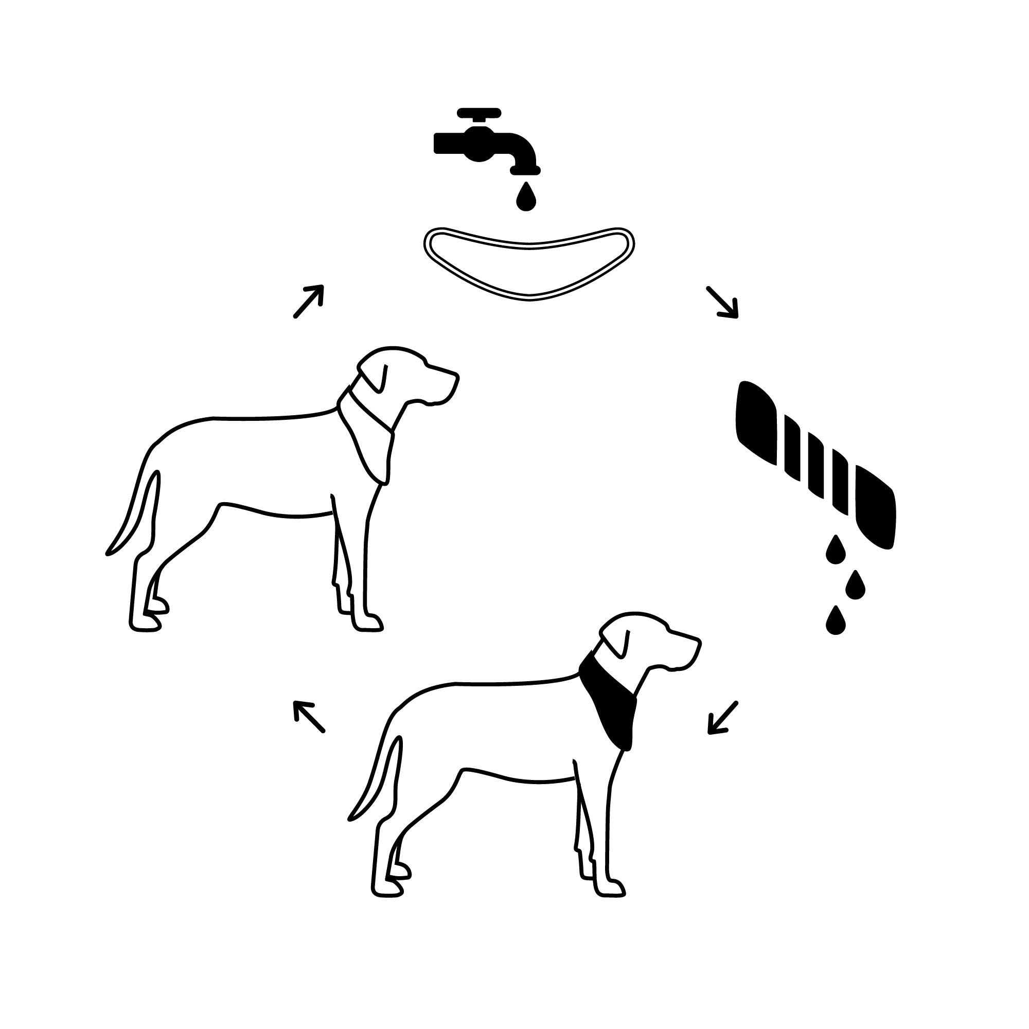 Dog Cooling Ice Band® | GF Pet of Canada | Crystal Aqua