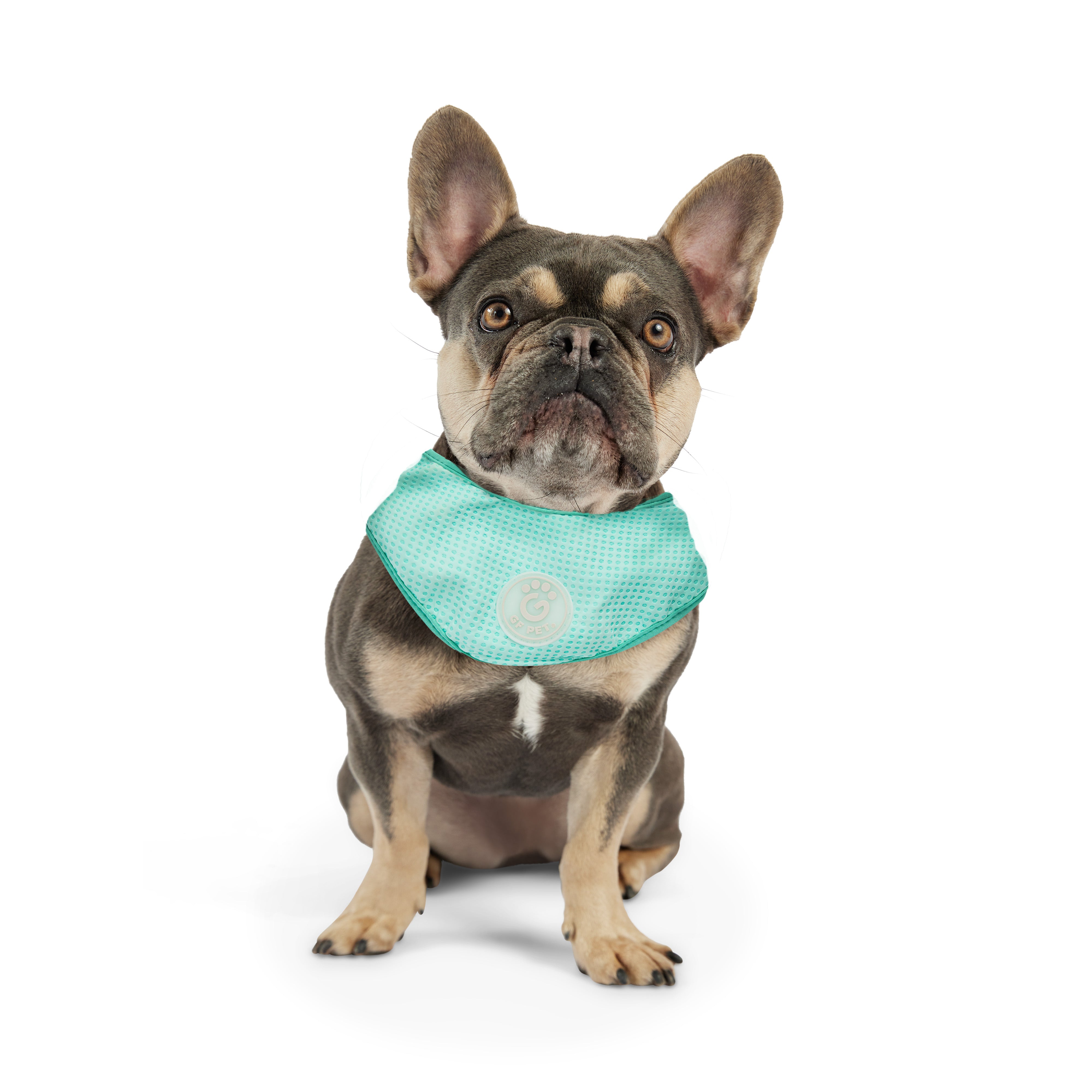 Dog Cooling Ice Band® | GF Pet of Canada | Crystal Aqua