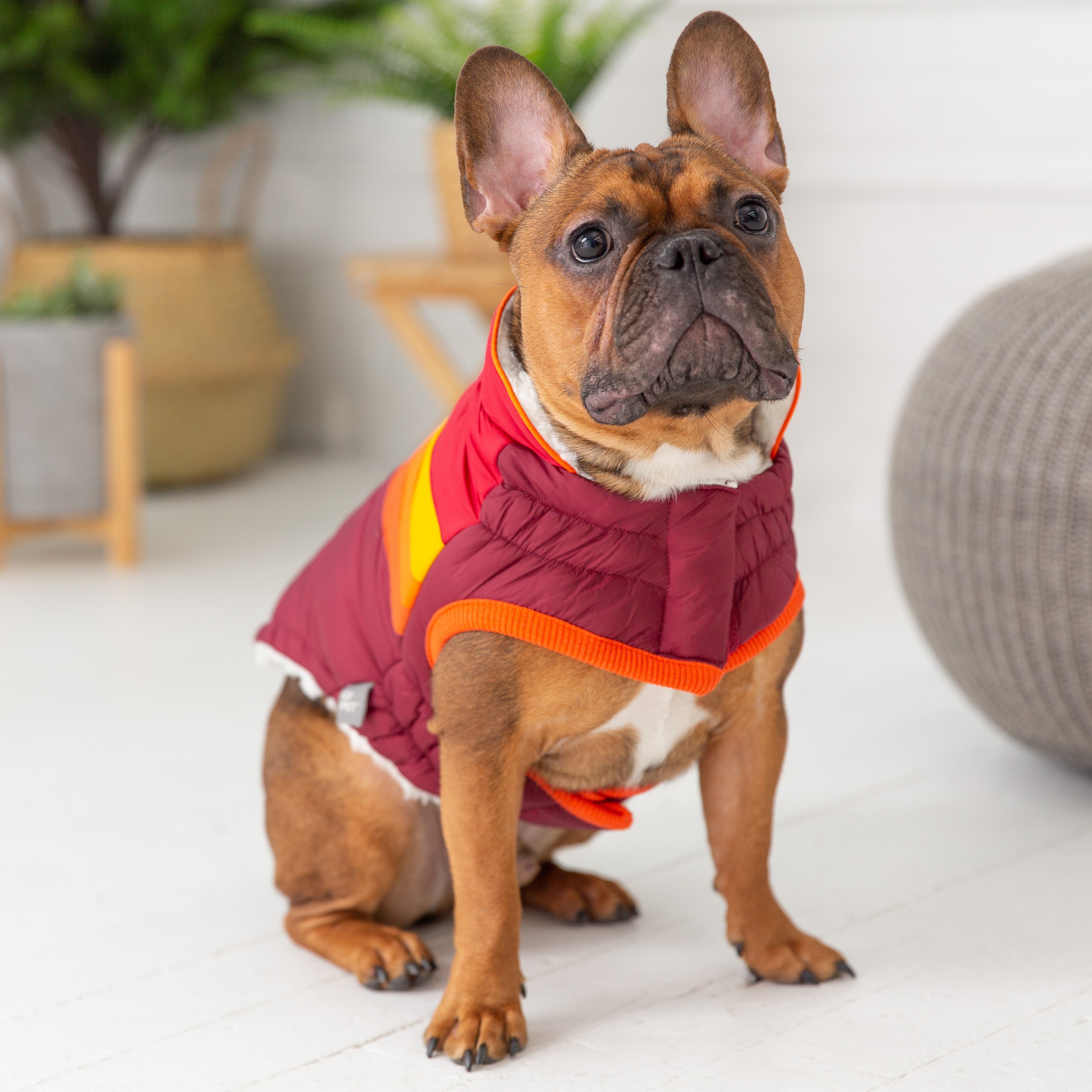 GF Pet Winter Dog Coat | Elasto-Fit® Warm & Water-Resistant Jacket