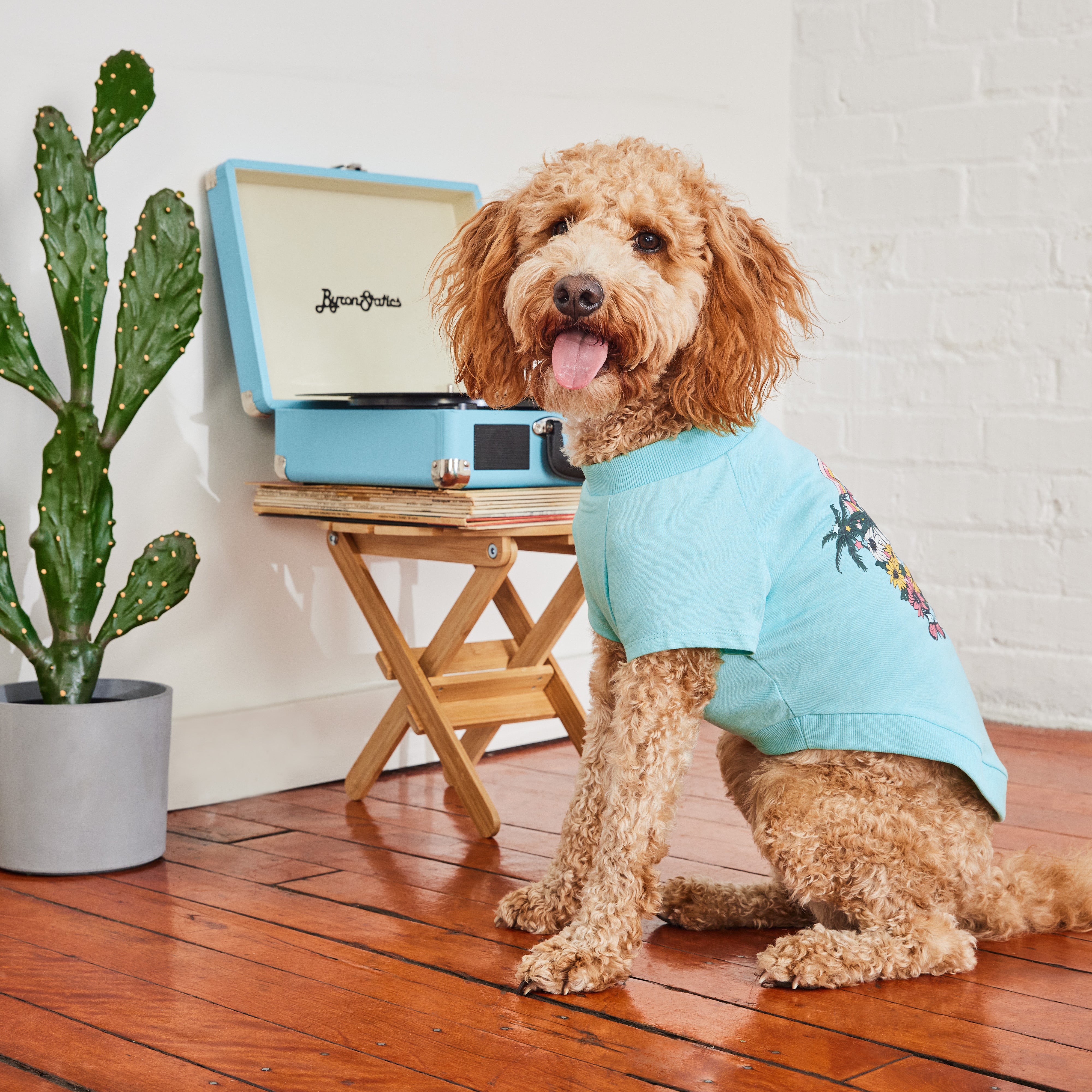 Dog T-Shirt | Autumn/Winter Essentials | GF Pet | Light Aqua