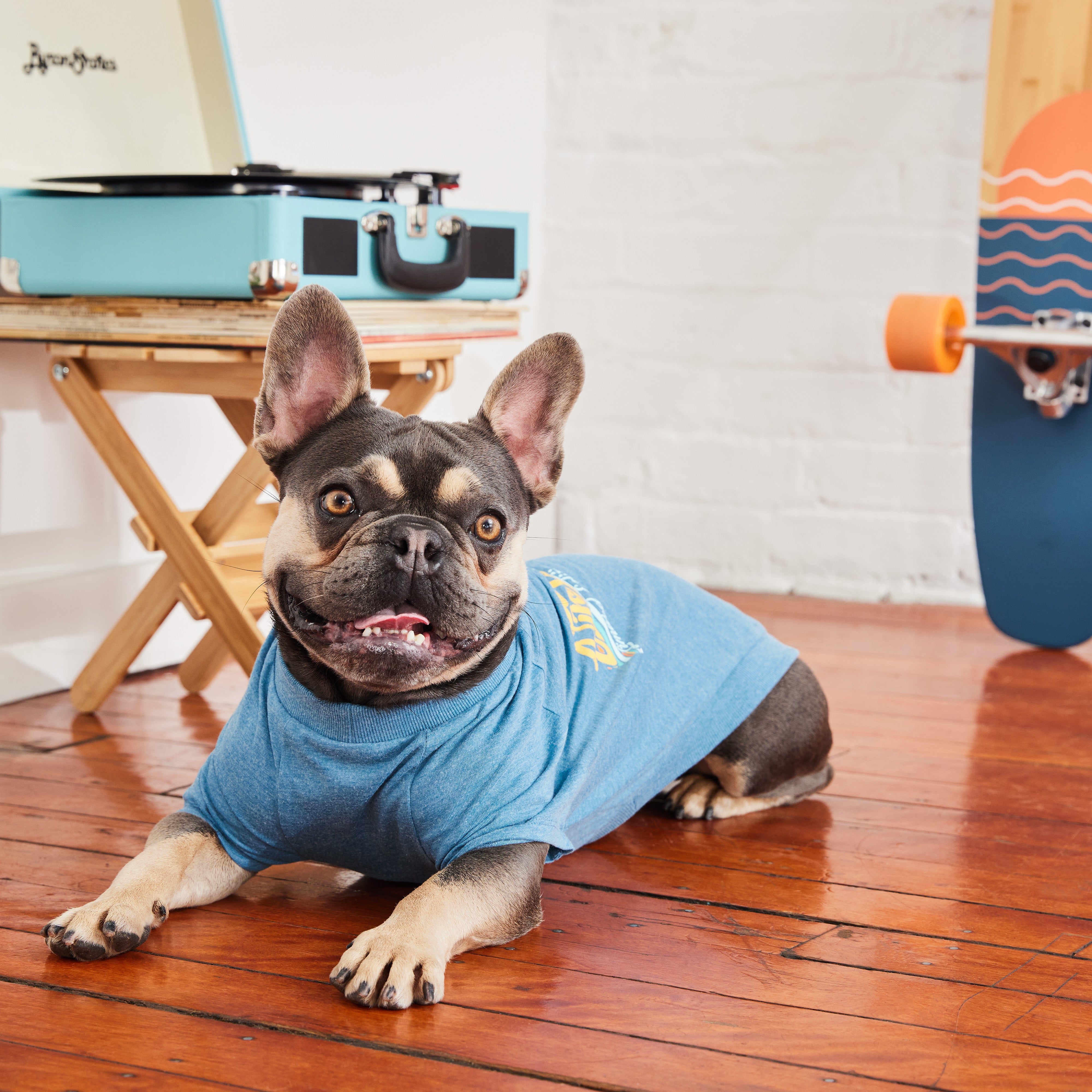 Dog T-Shirt | Autumn/Winter Essentials | GF Pet | Sea Blue