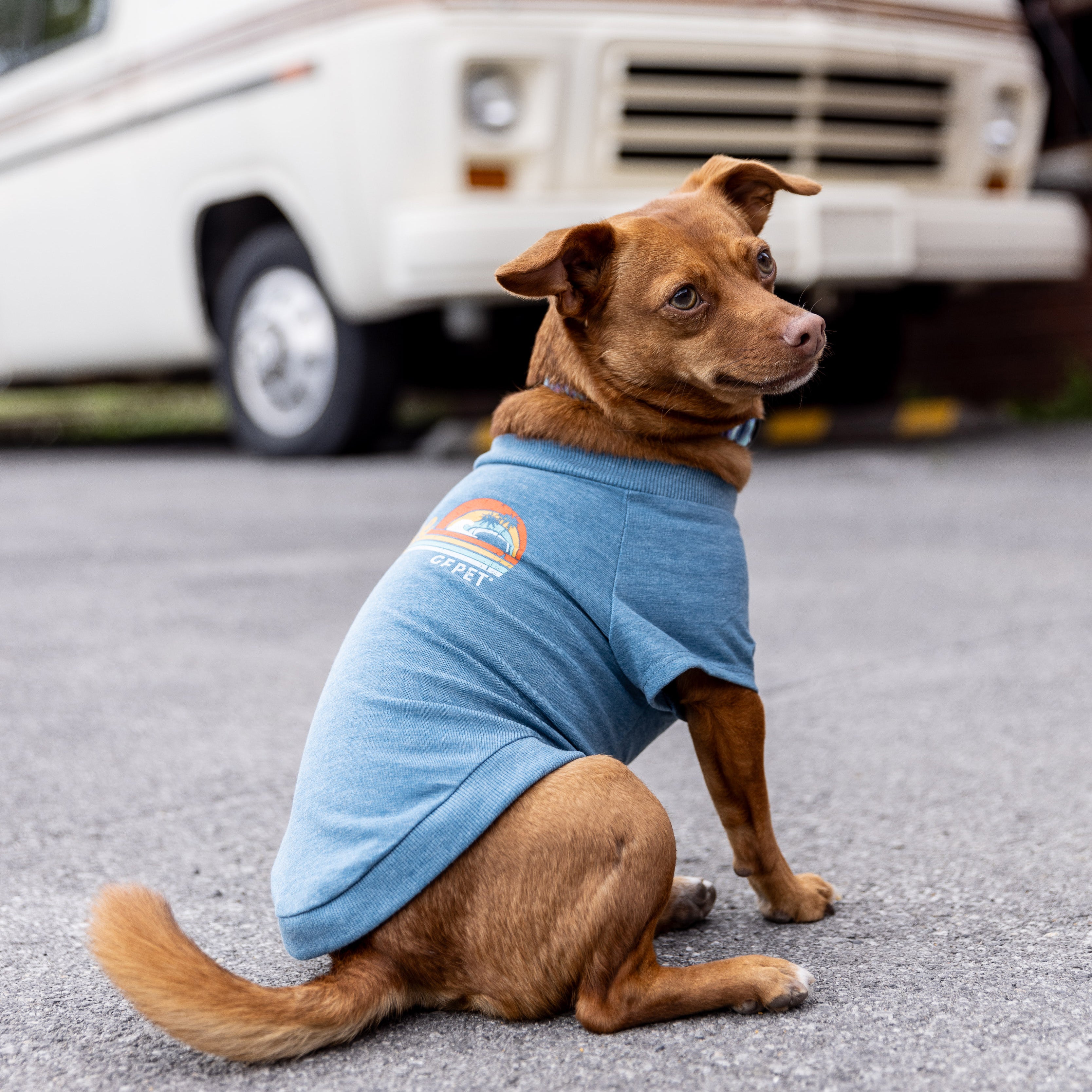 Dog T-Shirt | Autumn/Winter Essentials | GF Pet | Sea Blue