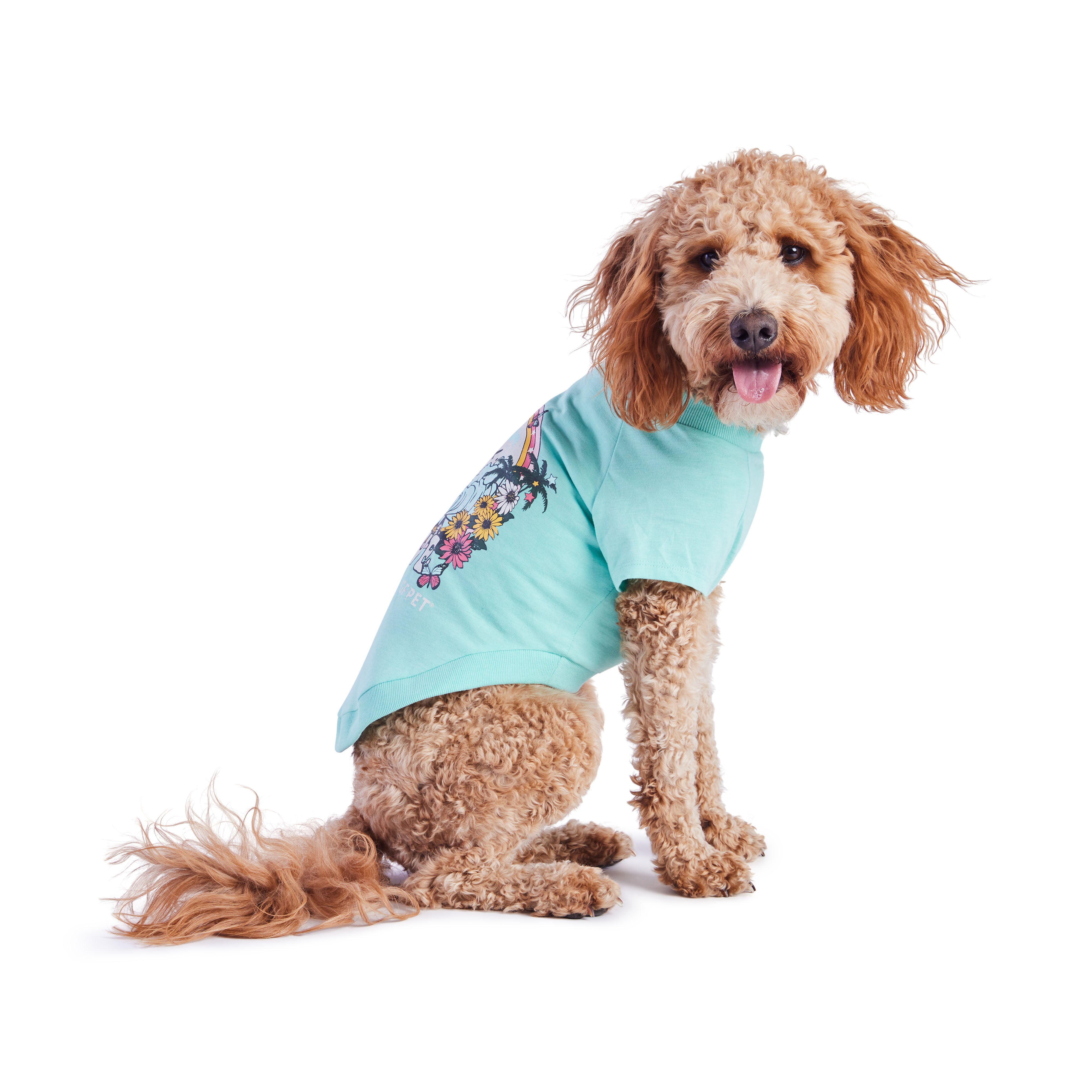 Dog T-Shirt | Autumn/Winter Essentials | GF Pet | Light Aqua