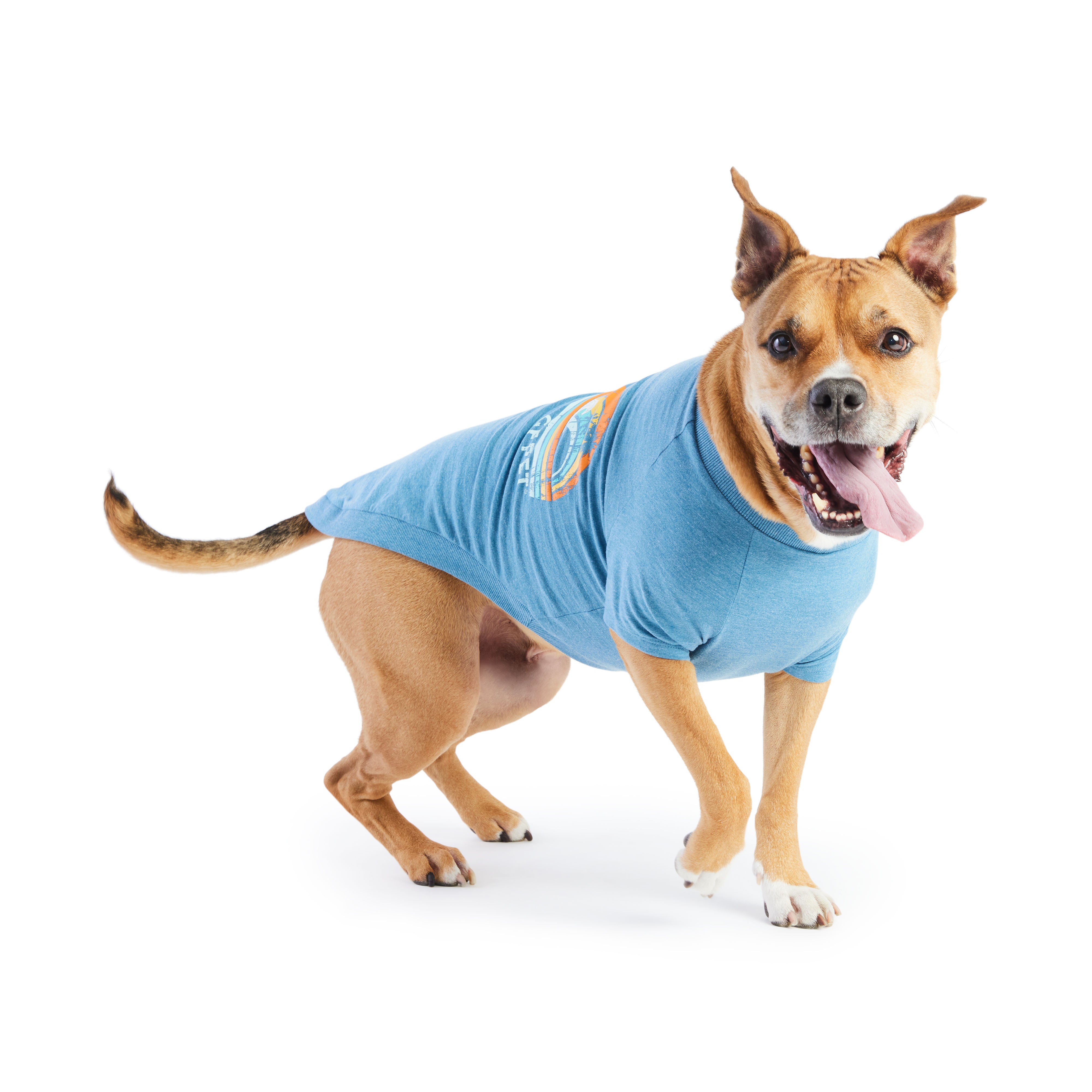 Dog T-Shirt | Autumn/Winter Essentials | GF Pet | Sea Blue
