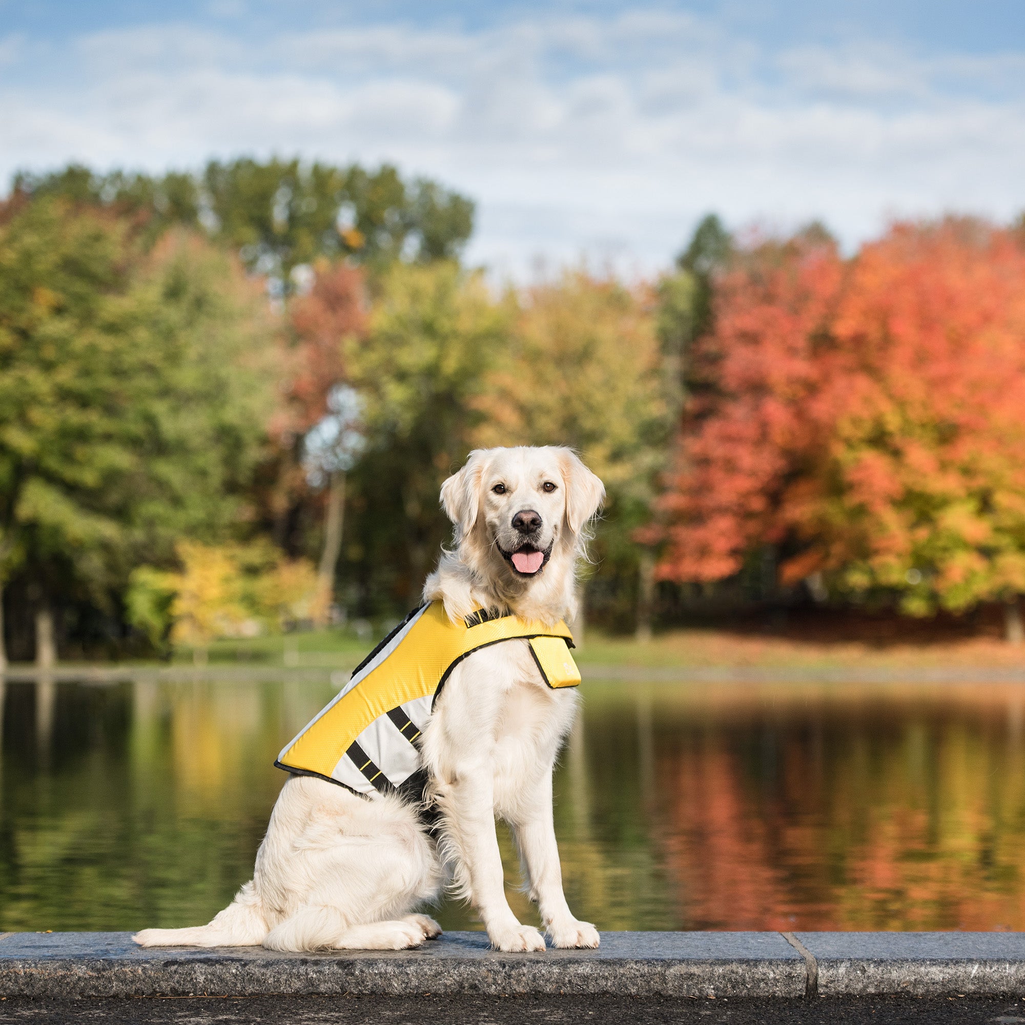 Quality Beach Cooling Set| by GF Pet of Canada | Big Dog