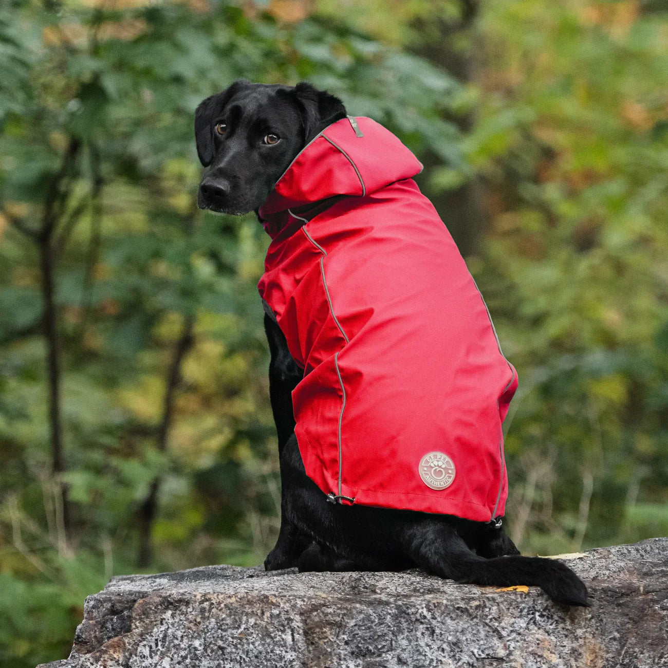 GF Pet Reversible Dog Raincoat | Red & Yellow Waterproof Jacket