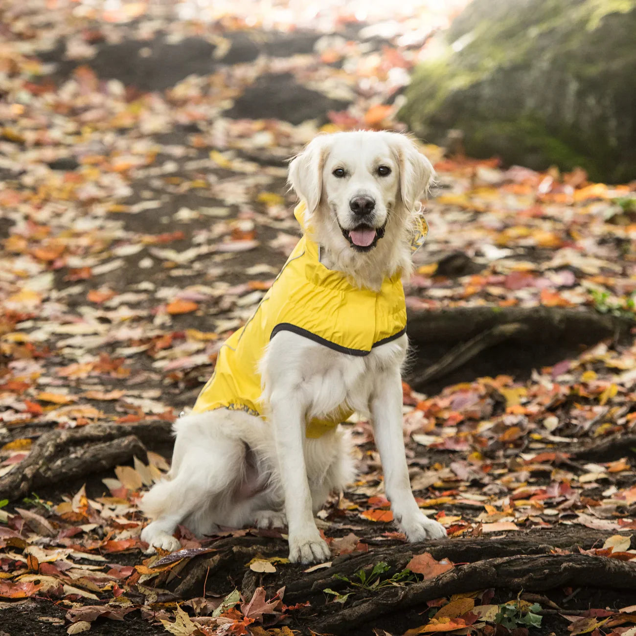 GF Pet Reversible Dog Raincoat | Yellow & Navy Waterproof Jacket