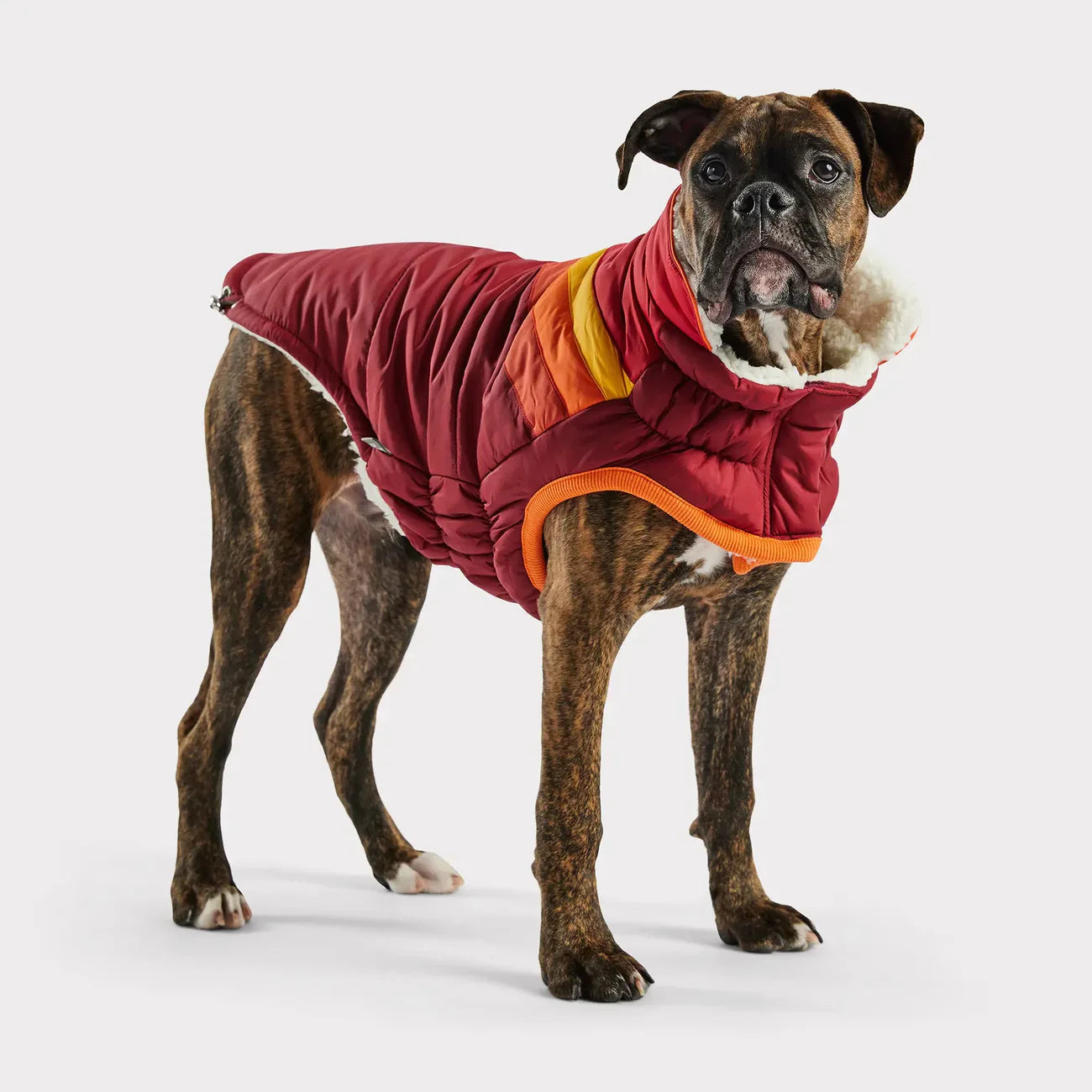 GF Pet Winter Dog Coat | Elasto-Fit® Warm & Water-Resistant Jacket
