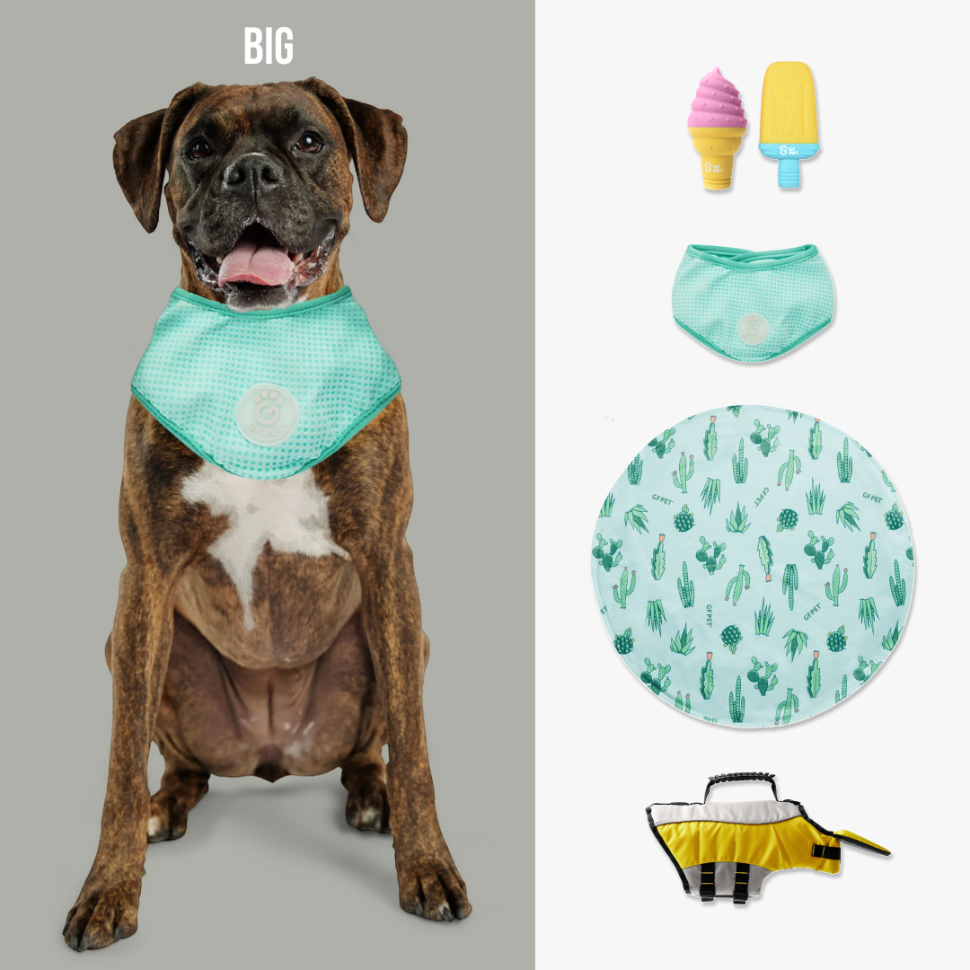 Quality Beach Cooling Set| by GF Pet of Canada | Big Dog