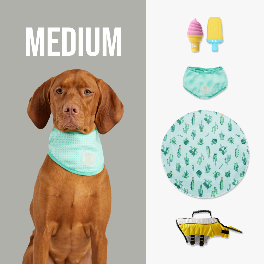 Quality Beach Cooling Set| by GF Pet of Canada | Medium Dog