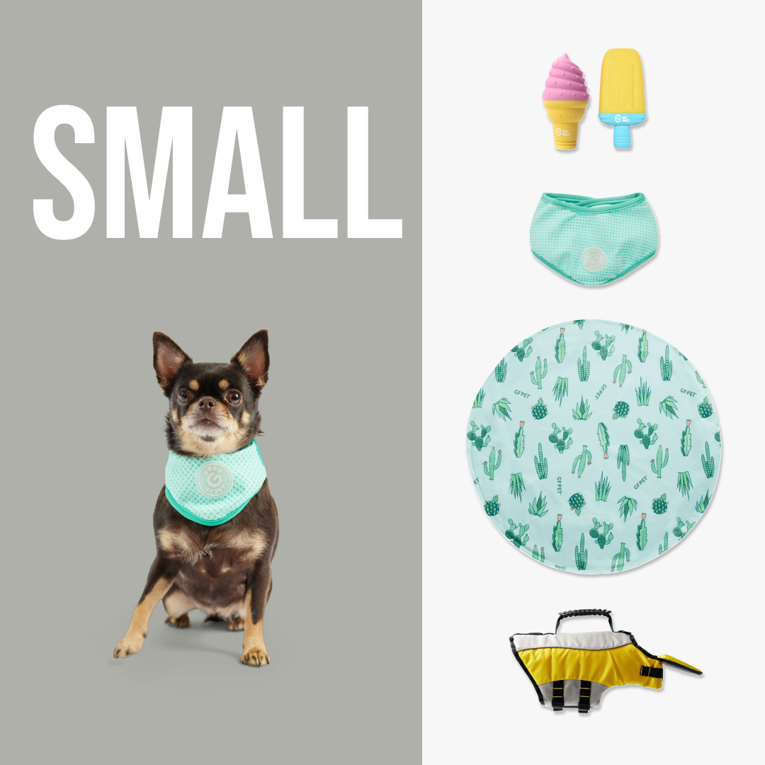 Quality Beach Cooling Set | by GF Pet of Canada | Small Dog
